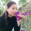 《温》金秋雅菊的头像