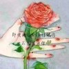 最美的晚霞的头像