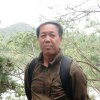 大圣归来的头像
