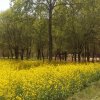 听落花雨的头像