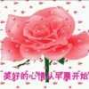 自由自在的头像