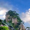佛缘的头像