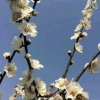 子然亦圣的头像
