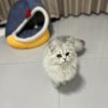  辣辣的·辣的头像