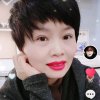 辛翠平的头像