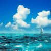 观沧海的头像