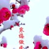 宁静致远（停）的头像