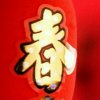 随鈊锁欲的头像