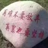 高原红不收礼物的头像