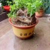 爱你到永远的头像