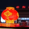 小虎的头像
