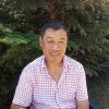 刘云涛的头像