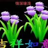 ⚘情深缘浅⚘的头像