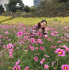 李小青的头像