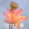 他超帅的头像
