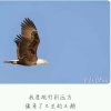 安欣的头像