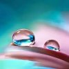 美玲的头像