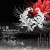 玖陸零玖贰贰BIAN的头像