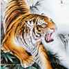 东北虎的头像
