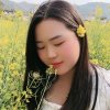 最美的相遇的头像