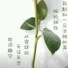 笑红尘的头像