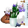 YANmedia的头像