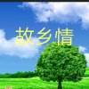 枫林听雨的头像
