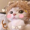 Q的头像