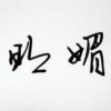 ♀→_→刺猬的头像