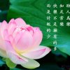 毛妹的头像