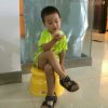 青临天下的头像
