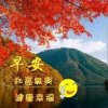 麻雀的头像