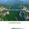 飘飘的头像