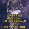 野狼的头像