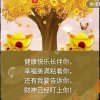 修龙游天下的头像