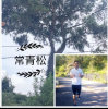 常青松的头像