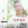 杨名（真情永驻，守望一生）的头像