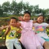 jiaoerjie的头像