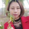 往事随风的头像
