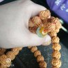放下尘缘～拒聊拒加私信的头像