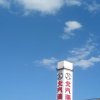 春天的太阳的头像