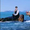 如意有访必回的头像