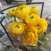 春暖花开的头像