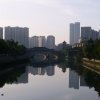 刚哥的头像