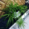 唐人府知足常乐的头像