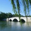 无悔的头像