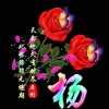 人生如梦的头像