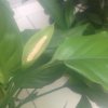 一叶知秋的头像