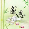 情无所依的头像