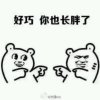 艺鹏的头像